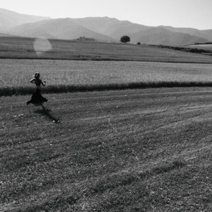 SOY UNA LUZ TAN PURA (pureza)