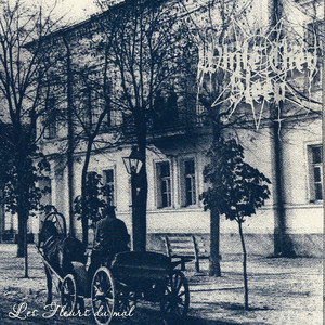 While They Sleep — Les Fleurs Du Mal