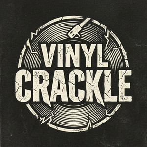 Vinyl Crackle by Velvet June