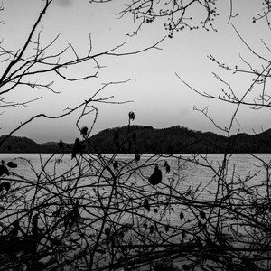 Forgotten in Bukovyna