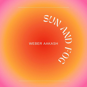 There is no reason by Weber Aakash Album Cover