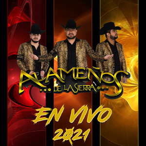 Alameños De La Sierra - Popurrí Coco Rayado y la Picare (En Vivo)