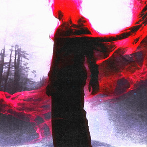 Portada de night forever
