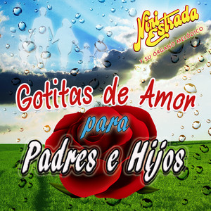 Nini Estrada Y Su Organo Melodico - Queda Prohibido