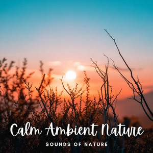 Sounds of Nature: Calm Ambient Nature album
