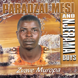 Rugare by Paradzai Mesi & Njerama Boys