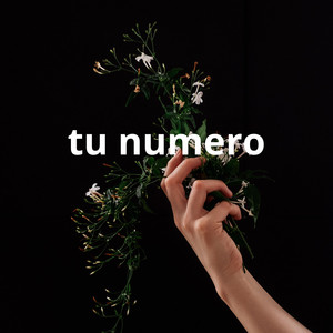 tu numero by Luis M