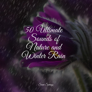 50 Ultimate Sounds of Nature and Winter Rain album