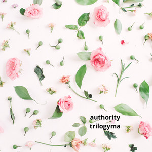 Authority by trilogyma