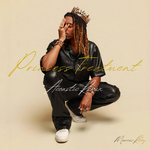 Princess Treatment (Acoustic Remix) by Marcus Riley