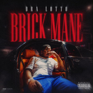 Brick Mane by Dra Lotto