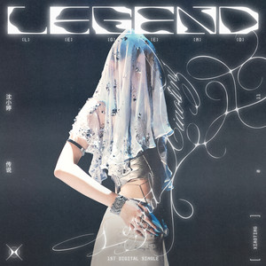 LEGEND by 沈小婷（XIAOTING）