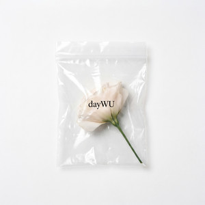Cover art: dayWU