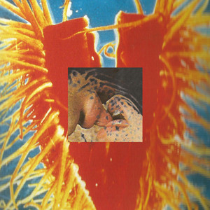 damefrisør