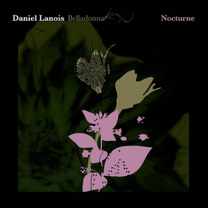 The Crossing by Daniel Lanois