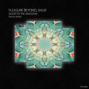 Door to the Kingdom (RAWDA Remix)