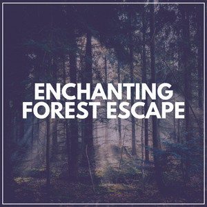Enchanting Forest Escape album