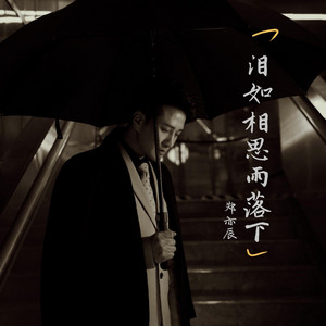 泪如相思雨落下 by Ause幻像