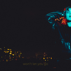 Won't Let You Go by Norah Rhodes