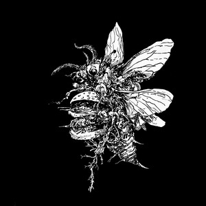 Limewax — PCLB EP Pt. 1