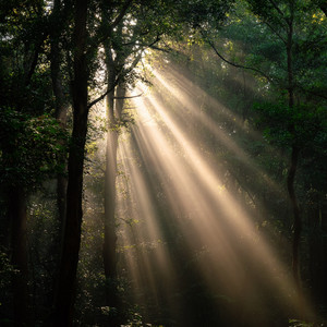 The Hiroshima - Pump It (Speed Up)