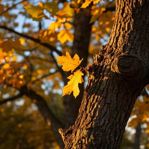 Serena Aléxia - Fuel for the Fire