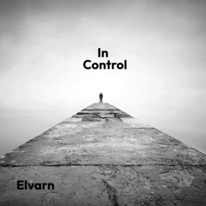 In Control by Elvarn
