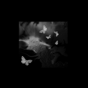 Feed by rayray
