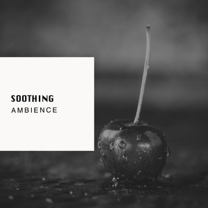 # 1 A 2019 Album: Soothing Ambience album