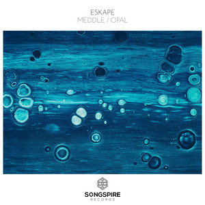 Meddle by Eskape