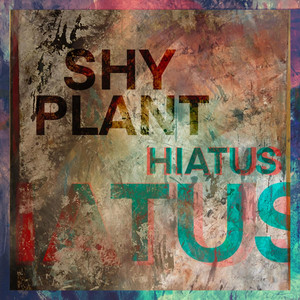 Hiatus by Shy Plant
