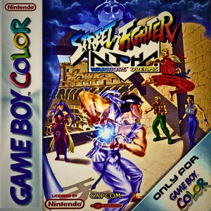 StreetFigther by BraidyBaby