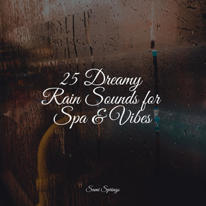 25 Dreamy Rain Sounds for Spa & Vibes album