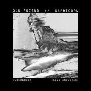 Capricorn - Live Acoustic by Elderbrook