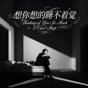 想你想的睡不着觉 by 邵金刚