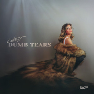 Dumb Tears - Acoustic Version by Libby T