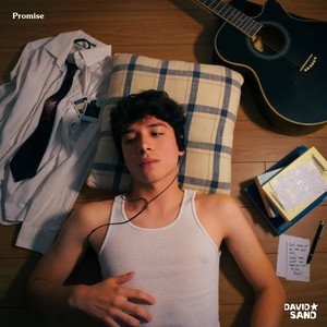 Promise by David Sand