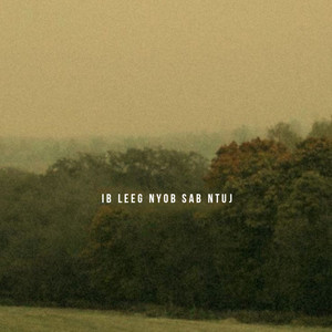 Limeng Vang - Ib Leeg Nyob Sab Ntuj