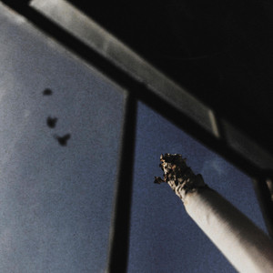 SLncS — blond