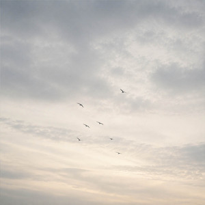 Birds beneath the sky by Aethra
