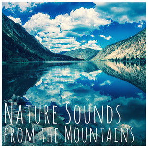 Sounds Nature 中古4本 of R19 235/50