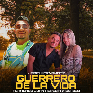 Flamenco Juan Heredia, Jarri Hernandez & Go Kico - Guerrero de la Vida