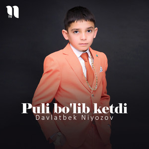 Davlatbek Niyozov - Puli Bo'lib Ketdi