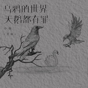 小灿 - 乌鸦的世界天鹅都有罪 (男版)