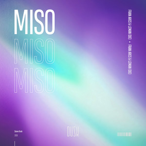 MiSo by Fran Ares, LEMAN (DE)