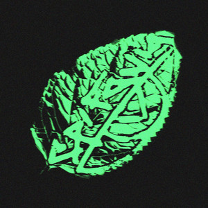 MIĘTA by VINCENTO