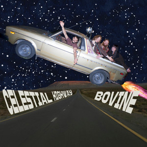 Celestial Highway by Bovine