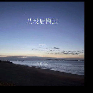 从没后悔过 - 烟嗓版 by 万能和弦