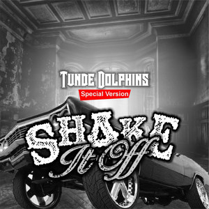 SHAKE IT OFF - Special Version by Tunde Dolphins