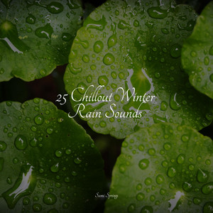 25 Chillout Winter Rain Sounds album